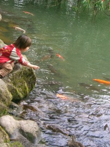 Kenrokuen child with carp